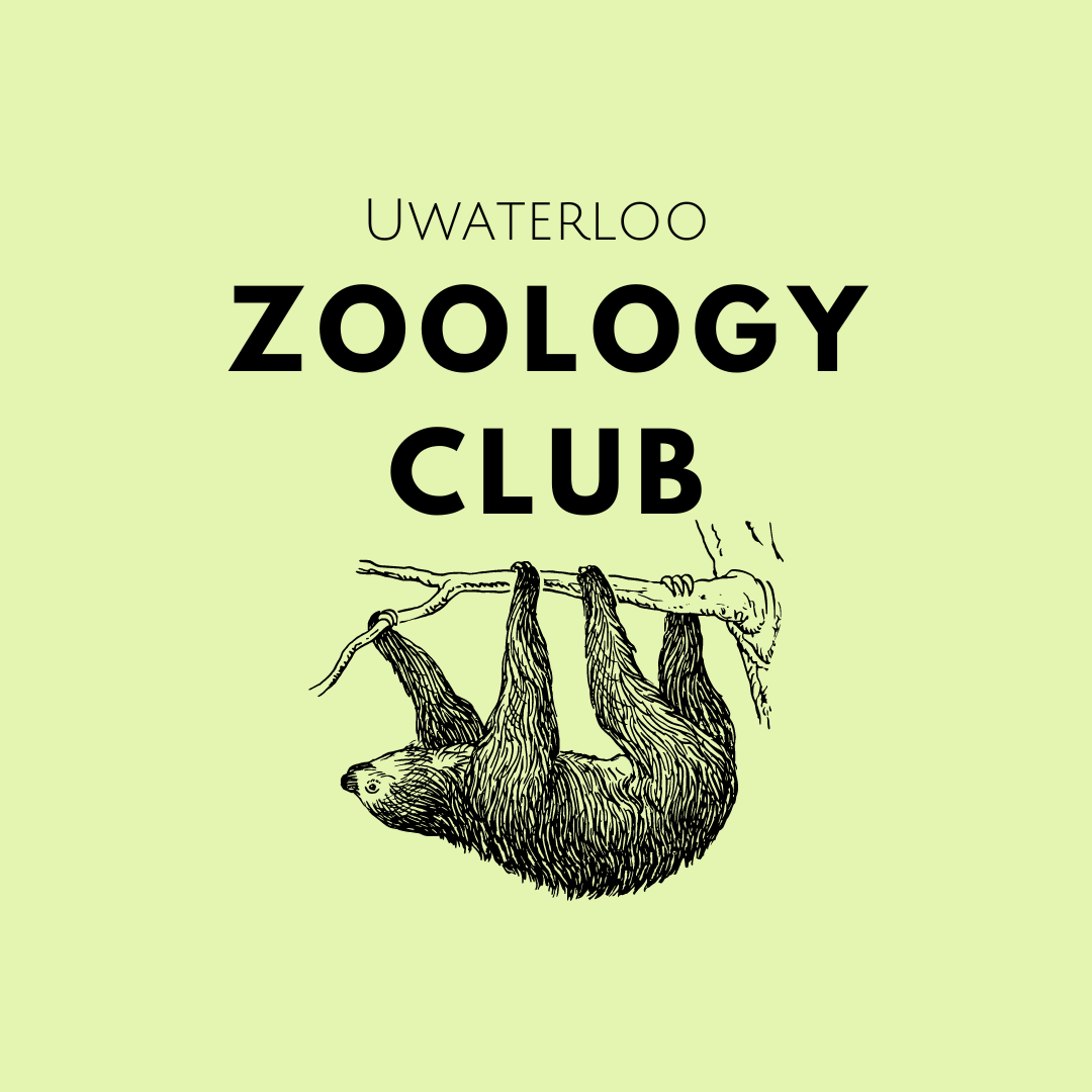 UW Zoology Club Logo