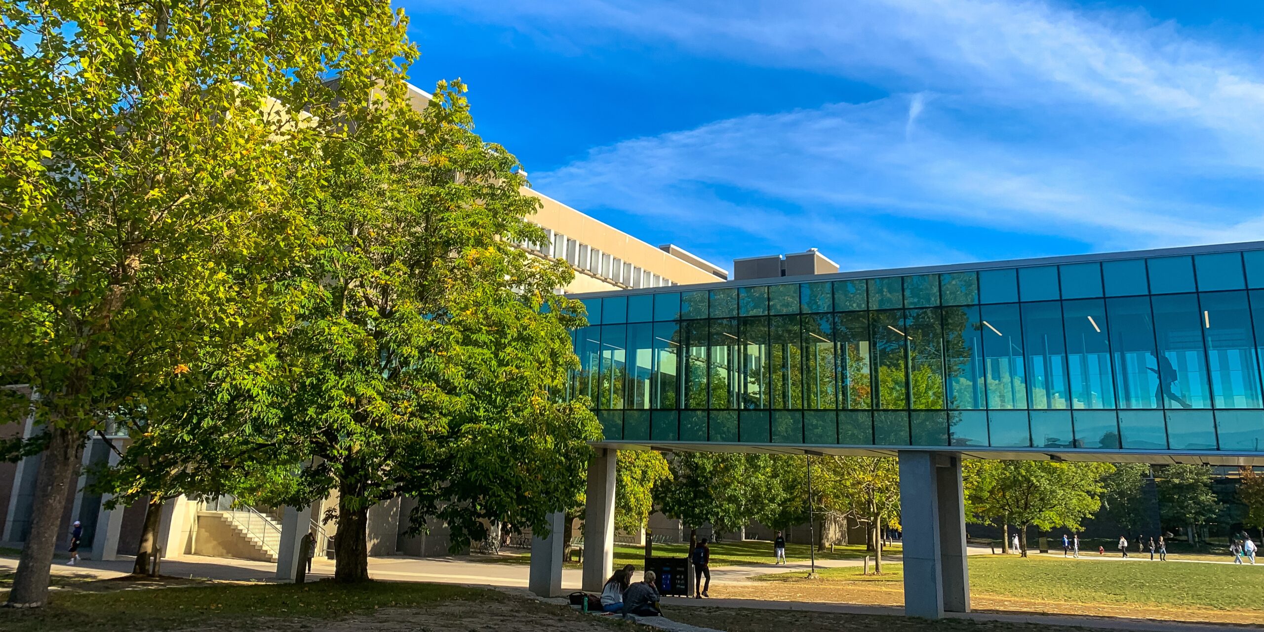 The modern glass walkway between campus buildings glistens under the bright blue sky, surrounded by lush green trees.